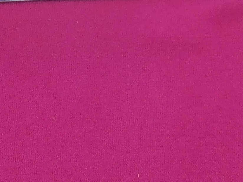Pantyhose - ASST Colors